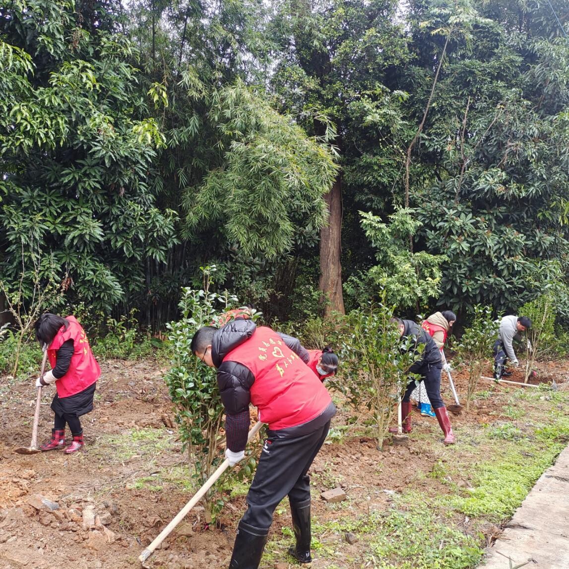 黨建引領(lǐng)齊發(fā)力，攜手同心添新綠.wps_2