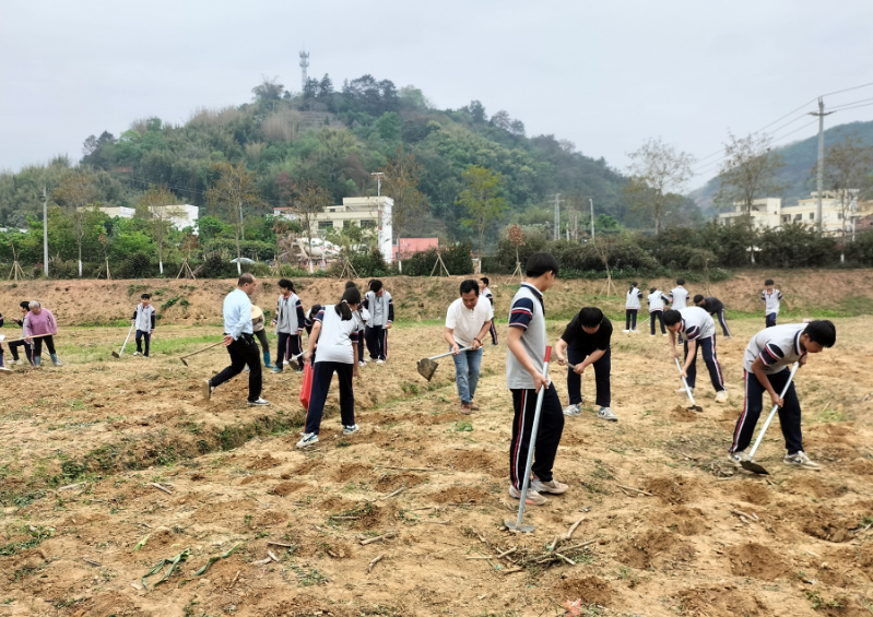 桂圩鎮(zhèn)初級(jí)中學(xué)學(xué)子赴桂圩龍崗村勞動(dòng)教育基地開(kāi)展農(nóng)耕實(shí)踐活動(dòng)3.png