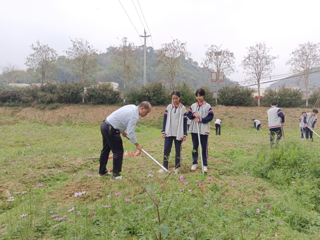 桂圩鎮(zhèn)初級(jí)中學(xué)學(xué)子赴桂圩龍崗村勞動(dòng)教育基地開(kāi)展農(nóng)耕實(shí)踐活動(dòng)2.png