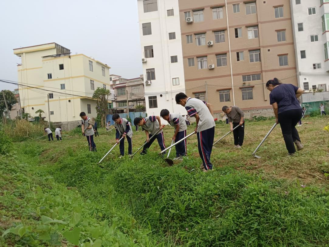 桂圩鎮(zhèn)初級(jí)中學(xué)學(xué)子赴桂圩龍崗村勞動(dòng)教育基地開(kāi)展農(nóng)耕實(shí)踐活動(dòng)1.png