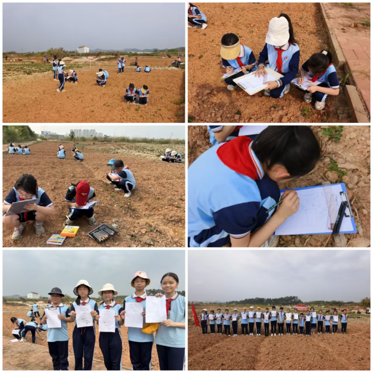 田間課堂育新苗 勞動實踐促成長——都城鎮(zhèn)中心小學開展“農(nóng)作物生長探秘”勞動實踐項目式學習活動2.jpg