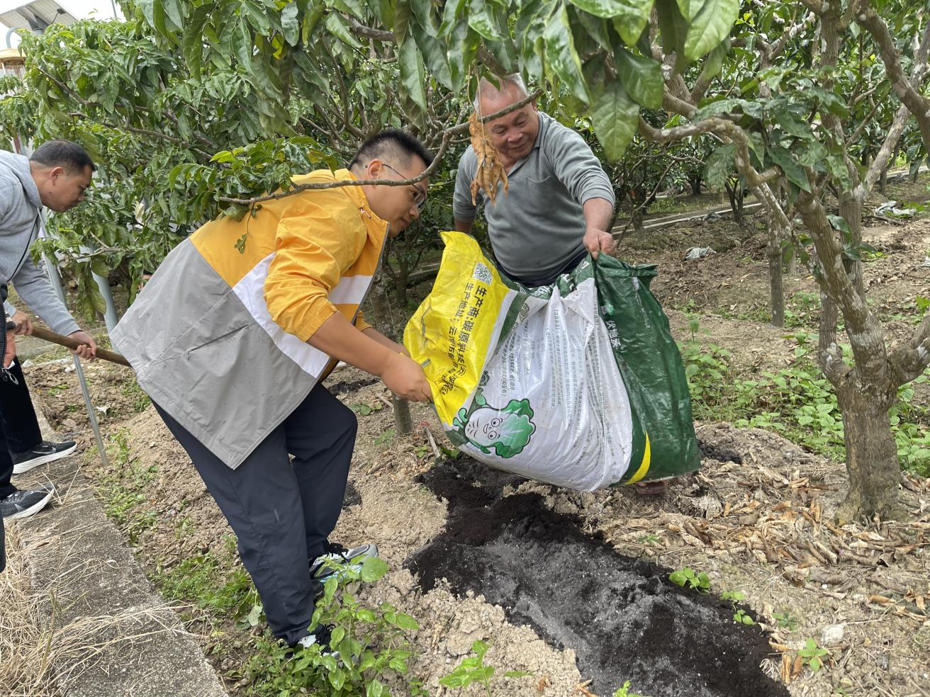 轉(zhuǎn)存圖片