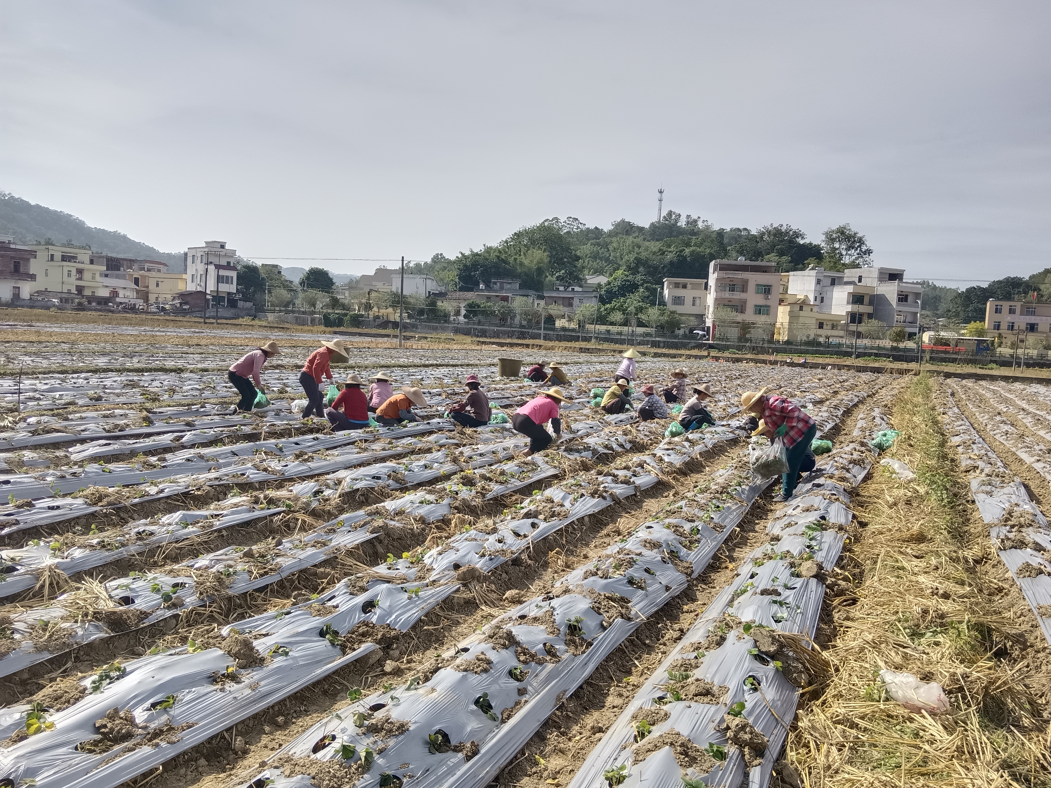 轉(zhuǎn)存圖片